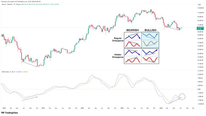 The image shows a weekly BTC/USD chart (currently ~$66,592) with a MACD indicator below, highlighting a bullish MACD cross and bullish divergence forming on the histogram—visually reinforcing the post's claim of a bullish setup for Bitcoin despite critics noting an abundance of bullish commentary.