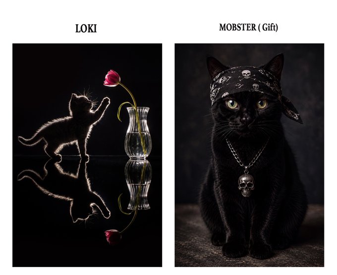 Two artistic photos of black cats labeled 'LOKI' (silhouetted kitten reaching for a red rose in a vase) and 'MOBSTER ( Gift)' (black cat wearing a skull-patterned bandana and skull pendant necklace).