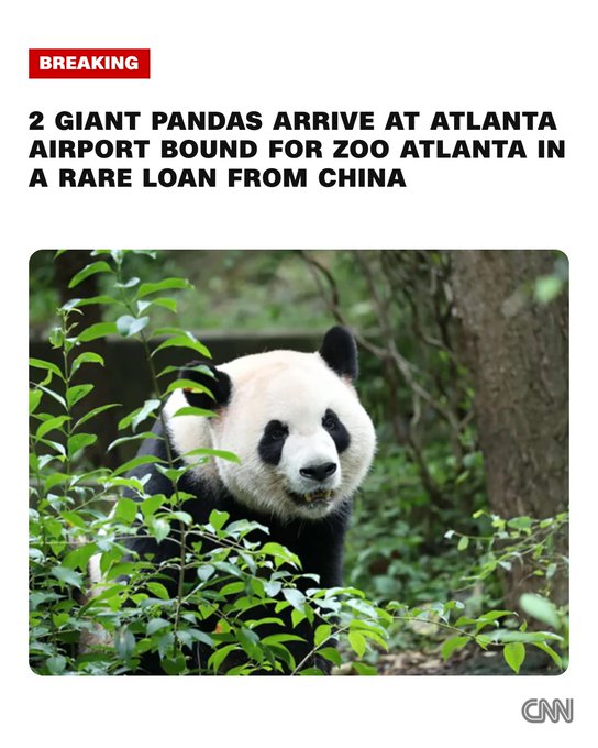A CNN breaking news graphic announces "2 GIANT PANDAS ARRIVE AT ATLANTA AIRPORT BOUND FOR ZOO ATLANTA IN A RARE LOAN FROM CHINA," featuring a close-up photo of a giant panda among green foliage, which relates to the post about the new panda residents Ping Ping and Fu Shuang at Zoo Atlanta.