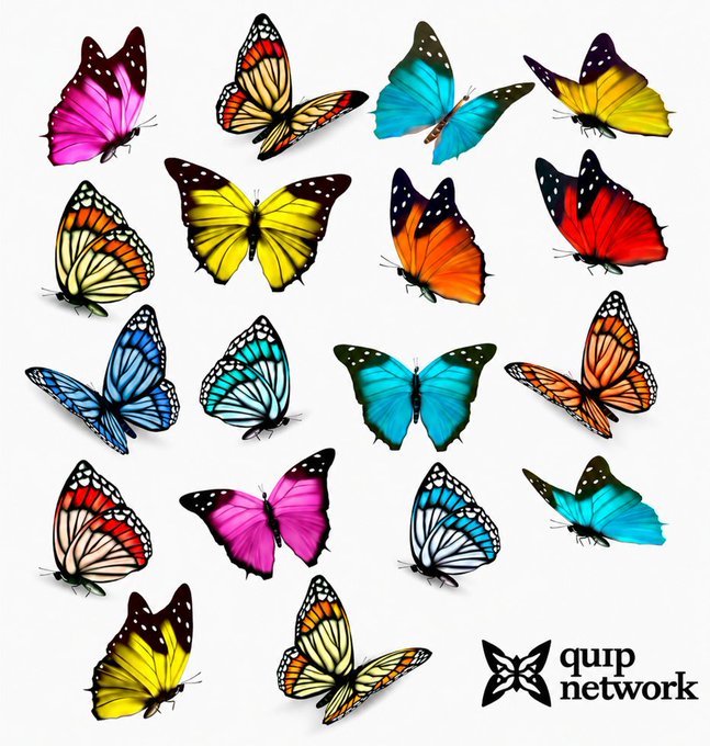 A colorful collection of artificial decorative butterflies in various colors (pink, yellow, blue, orange, red) arranged on a white background with a 'qup network' logo.