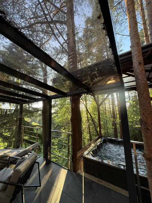 A view of an outdoor patio featuring a hot tub, lounge chairs, and a metal-framed glass roof, surrounded by tall trees in a forest setting.