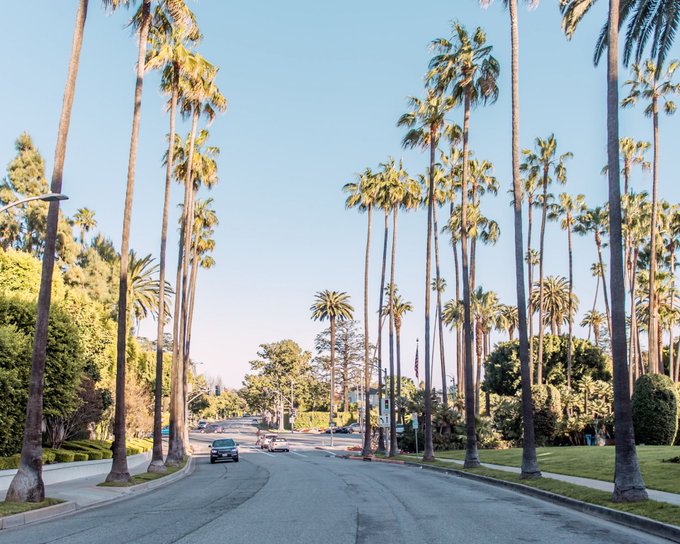 A sun-drenched boulevard lined with towering palm trees stretches into the distance under a clear blue sky, evoking a quintessential Southern California scene. The scenic palm-tree-lined road complements the casual vibe of the streaming announcement, lending a laid-back, aspirational backdrop to the $LOOKSMAX promotional post.