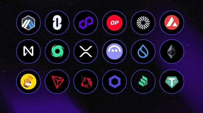 The image displays a grid of 18 cryptocurrency logos, including recognizable brands like ETH, Polygon (OP), Avalanche, XRP, Solana, and Tether (T), arranged in circular frames against a dark purple background. This visual emphasizes the post's point that despite the crypto ecosystem containing over 1,000 blockchains across L1, L2, and app chains, public discourse disproportionately centers on only a handful of major networks.
