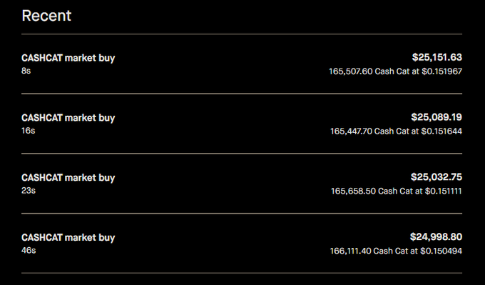 The image shows four recent CASHCAT market buy transactions on Robinhood, totaling approximately $100,272 in purchases ranging from $24,998.80 to $25,151.63, executed within the last 46 seconds at prices around $0.15 per Cash Cat token. This corresponds to the post describing a first meme coin purchase in 9 months, where the user bought $100,000 USD of $CASHCAT based on speculation of a Robinhood listing and a bullish post by Vlad Tenev.