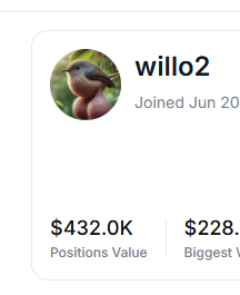 In the image, a small bird with a face (not actually visible) is featured prominently in the middle of an online discussion about stocks or shares. The image also mentions a $433,0K price tag for positions value, which seems to be related to this discussion. The context suggests that it might be a market post where someone has shared information about stock prices and trading data.