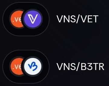 A screenshot showing two cryptocurrency swap pairs on a dark interface: VNS/VET and VNS/B3TR.