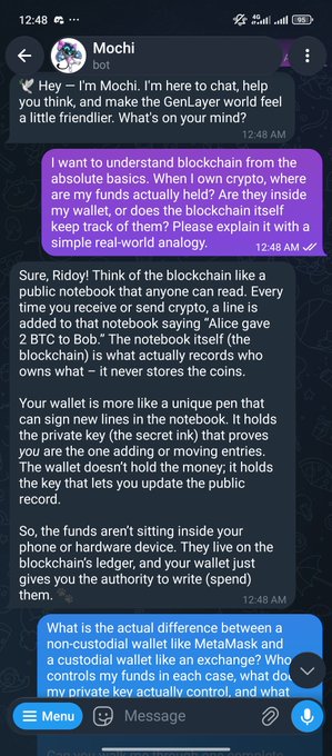 A chat conversation with a bot named 'Mochi' explains blockchain wallet mechanics, comparing custodial and non-custodial wallets like MetaMask, and clarifies how private keys control cryptocurrency funds.
