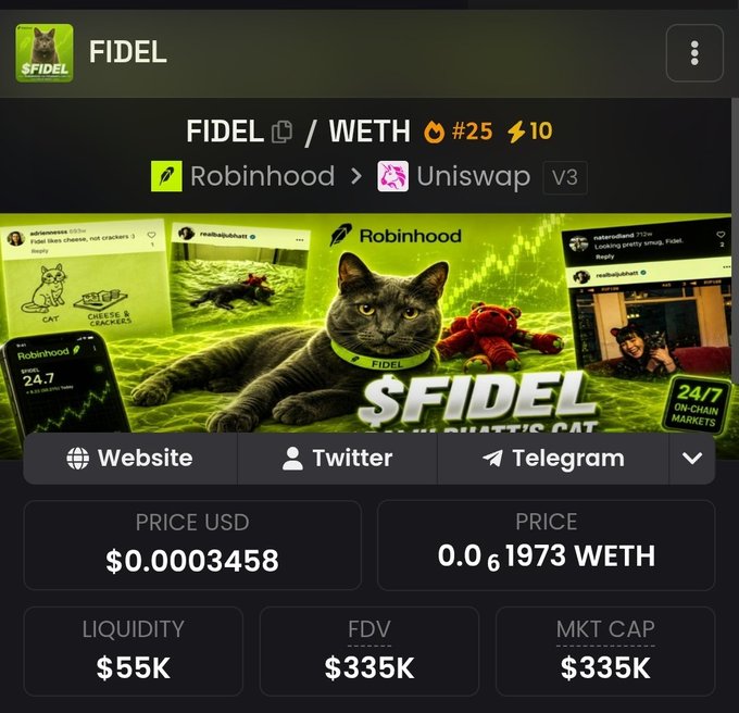 The image displays the FIDEL/WETH trading pair (#25 with 10 lightning emojis) available on Robinhood and Uniswap V3, featuring a gray cat named "Fidel - Chartis's Cat" as the token's mascot, currently priced at $0.0003458 with $55K liquidity, $335K FDV, and $335K market cap.

The post highlights FIDEL's dramatic growth from a 30K market cap to 350K MC, showcasing the meme token's rapid 11X pump alongside its new Robinhood listing.