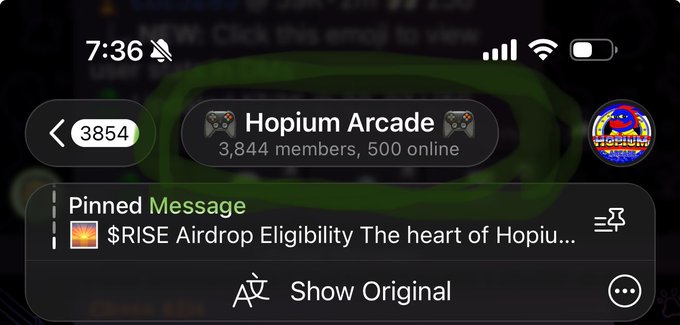 A Discord screenshot showing the "Hopium Arcade" server with 3,844 members and 500 online, featuring a pinned message about "$RISE Airdrop Eligibility" and "Show Original" options.
