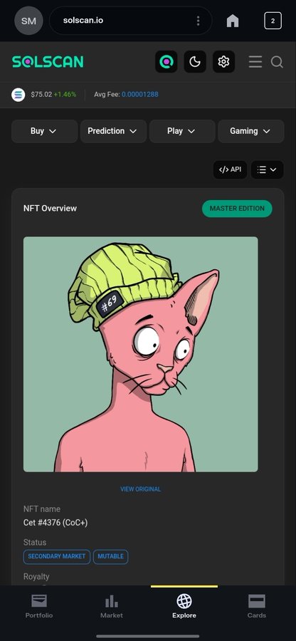A Solscan.io webpage displayed on a mobile device showing an NFT overview for 'Cat #4376 (CoC+)' featuring an illustration of a pink hairless cat wearing a green beanie with '#69' on it.