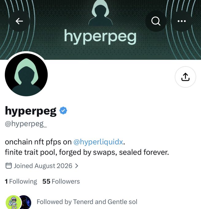 A Twitter/X profile page for 'hyperpeg' (@hyperpeg_) with a hooded figure avatar, describing itself as 'onchain nft pfps on @hyperliquidx. finite trait pool, forged by swaps, sealed forever,' and noting 'Joined August 2026'.