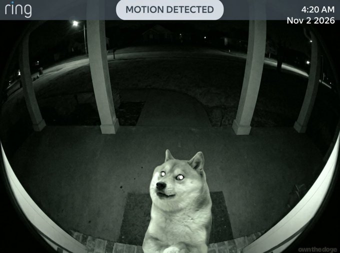 A Ring doorbell camera at 4:20 AM on Nov 2 2026 shows a Husky sitting on the porch looking up with glowing eyes as motion is detected. The caption "Good Morning Doges" matches the playful meme caption on the bottom right, humorously greeting the early morning canine visitor.