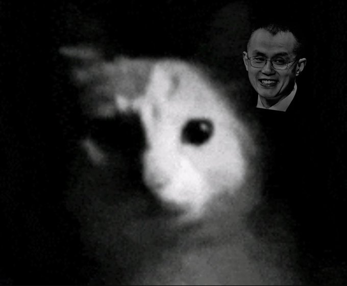 A blurry image of a hamster in the foreground with a man's smiling face peeking out from behind it in the background, marking the one-year anniversary of the viral hamster meme.