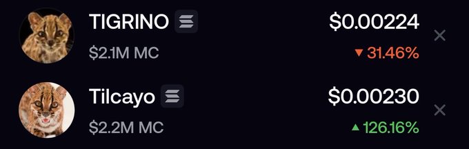 A trading interface showing two meme coins: TIGRINO at $0.00224 (down 31.46%, $2.1M market cap) and Tilcayo at $0.00230 (up 126.16%, $2.2M market cap).