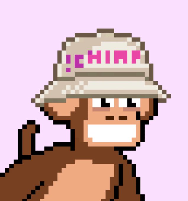 A pixel art character wearing a beige bucket hat with pink text reading '!EHIMH' against a light pink background.