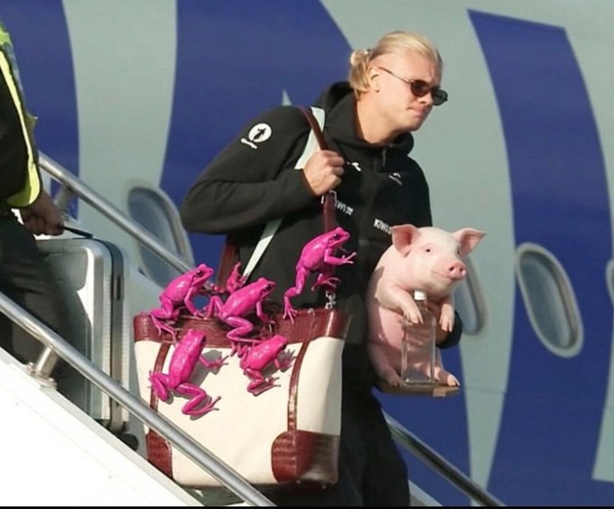 A person wearing sunglasses disembarks from an airplane carrying a handbag adorned with pink frogs and a small live pig in a clear carrier, humorously playing on the "$PORK" ticker as they bring a literal pork product off the flight.
