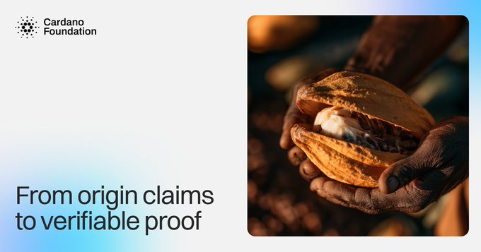 A promotional banner from the Cardano Foundation displays the text "From origin claims to verifiable proof" alongside an image of weathered hands cradling an opened cocoa pod, symbolizing the transition from unverified agricultural sourcing to blockchain-based supply chain transparency ahead of the EU's upcoming deforestation compliance deadline.
