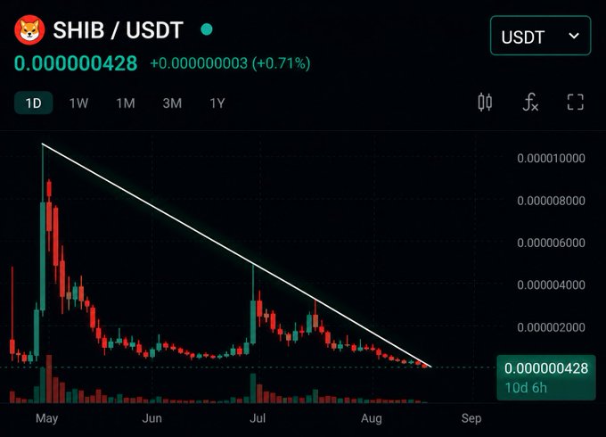A cryptocurrency price chart showing SHIB/USDT at 0.000000428 (+0.71%), with a descending trendline indicating a bearish pattern from May to August.