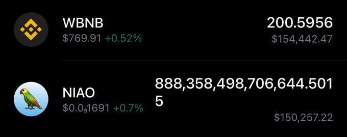 The image displays a crypto portfolio showing WBNB holdings of 200.5956 (worth $154,442.47) at $769.91 (+0.52%) and NIAO holdings of 888,358,498,706,644.5015 tokens (worth $150,257.22) at $0.01691 (+0.7%), illustrating the post's question about the mystery whale who allegedly holds 42% of the NIAO "bird coin" supply.