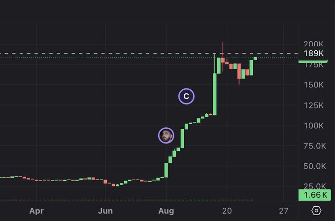 A candlestick price chart shows a meme coin's dramatic rise from around 1.66K in April to nearly 189K by late August, with a sharp vertical rally highlighted by a circled profile image marking the rebranding moment, followed by consolidation near the 175K-189K range.

The chart visually illustrates the post's narrative of the coin gaining momentum following the Lowqltcat brand repositioning, despite the developers being left with the project after the original dev "dumped" on them.
