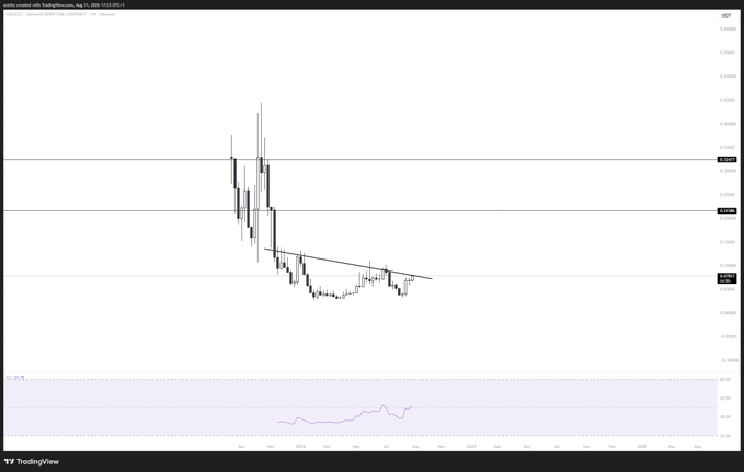 A TradingView chart shows $USELESS/USD price action from approximately July 2024 to May 2025, with the token rising sharply in late 2024 before consolidating and breaking down from a descending trendline toward current levels near $0.00004, with an RSI indicator below. The chart visually supports the post's claim of holding a "bag" of $USELESS during its volatile journey, implying potential upside as broader market risk appetite returns.