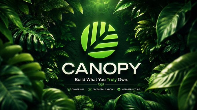 A logo for "CANOPY" set against a lush, green jungle background, featuring the tagline "Build What You Truly Own." and the words "OWNERSHIP • DECENTRALIZATION • INFRASTRUCTURE" below.