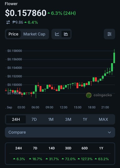 A cryptocurrency chart from CoinGecko displays 'Flower' token priced at $0.157860, up 6.3% in 24 hours, showing a candlestick price chart with gains across multiple timeframes.