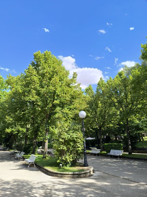 A serene park scene featuring lush green trees, wooden benches, and a vintage lamppost under a bright blue sky with scattered clouds.