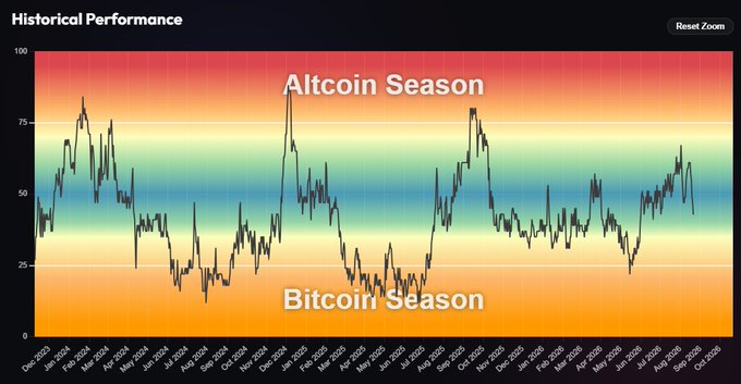 The image shows a crypto chart titled "BTC vs. Altcoins" spanning from December 2023 to October 2024, alongside a person holding a keychain next to a teddy bear in a "B" sweater. The chart illustrates Bitcoin's market cycles, with the current trend (highlighted in red) showing BTC outperforming altcoins, visually reinforcing the post's message that Bitcoin dominance is rising during a major breakout, leading the market while altcoins follow.