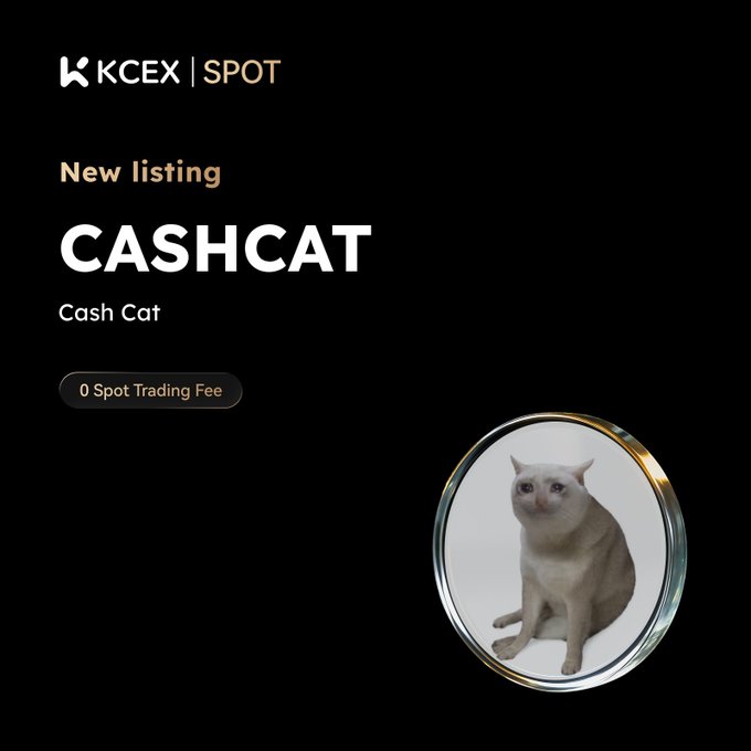 An announcement from KCEX | SPOT for a new listing called 'CASHCAT' (Cash Cat) with '0 Spot Trading Fee', featuring a circular photo of a cat.