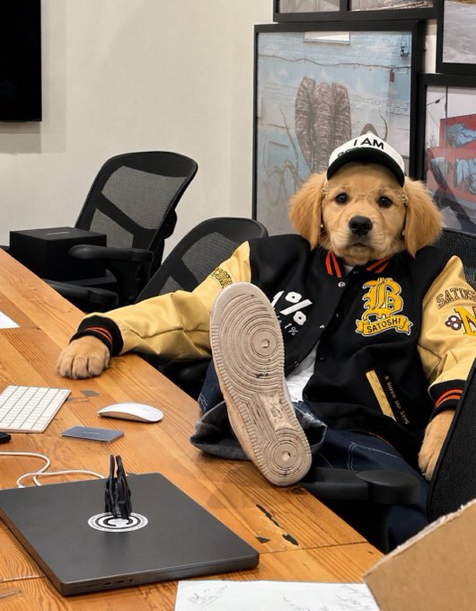 A golden retriever wearing a "I AM" cap and a black and yellow "Satoshi" varsity jacket lounges with its feet up on a wooden desk, surrounded by office equipment like a keyboard, mouse, and laptop. The dog's relaxed, confident pose pairs perfectly with the "GOOD MORNING BULLS" post, suggesting a casual yet bullish energy to start the day.