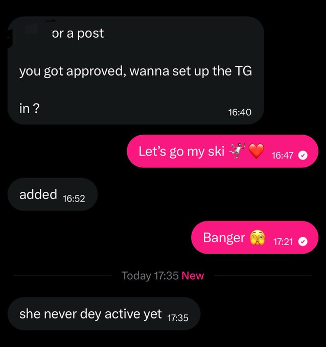 The image shows a direct message conversation where someone announces approval to set up a Telegram chat, followed by enthusiastic replies ("Let's go my ski 🎅❤️" and "Banger 😘") and a final note that the contact "never dey active yet" at 17:35. The exchange illustrates the typical web3 job hunting cycle referenced in the post—moving from being recommended and approved to onboarding, only to face the reality of an unresponsive client after the work begins.