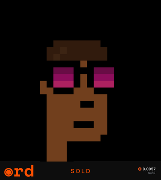 A pixel art image of a brown character wearing a hat and pink sunglasses is displayed on a dark background, with the text 'rd SOLD' and an orange icon at the bottom.