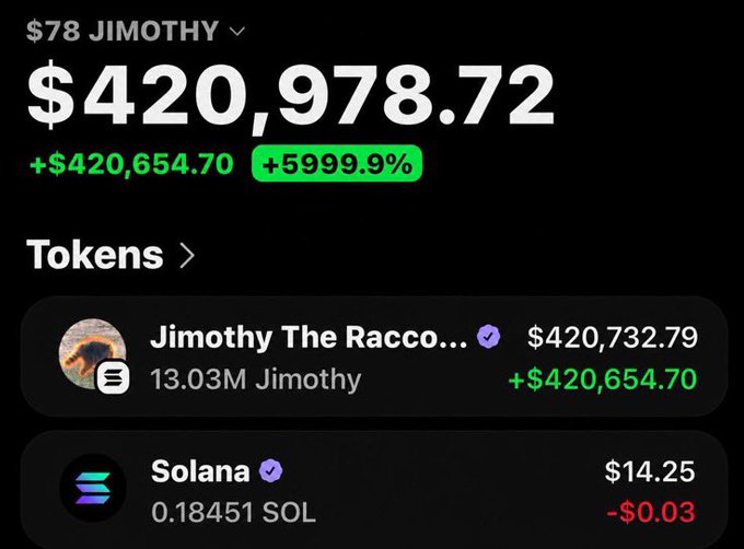 A crypto wallet screenshot displays a $420,978.72 balance primarily held in "Jimothy The Raccoon" ($JIMOTHY) tokens (13.03M JIMOTHY, valued at $420,732.79 with a +5999.9% gain), alongside a small 0.18451 SOL position worth $14.25. The image serves as visual proof of substantial profits, supporting the accompanying boast about early calls on $JIMOTHY, $ANSEM, and $VLAD tokens that saw massive gains.