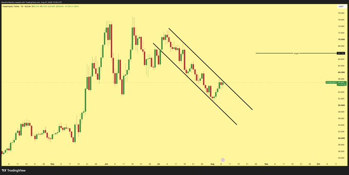 The image displays a $HYPE/USD (HYPE/USDT) candlestick chart on TradingView showing a clear descending channel pattern, with a horizontal "target" line drawn near the 72-73 price range as projected by the analyst. The chart confirms the post's analysis, illustrating price action contained between two parallel downward trendlines following a previous rally, with current price action testing the lower support band.