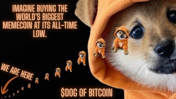 The image features a Shiba Inu dog wearing an orange hoodie alongside smaller repeating versions of itself in the same attire, with the text "IMAGINE BUYING THE WORLD'S BIGGEST MEMECOIN AT ITS ALL-TIME LOW" and "$DOG OF BITCOIN," promoting $DOG as a "buy the dip" opportunity similar to the early days of $DOGE.