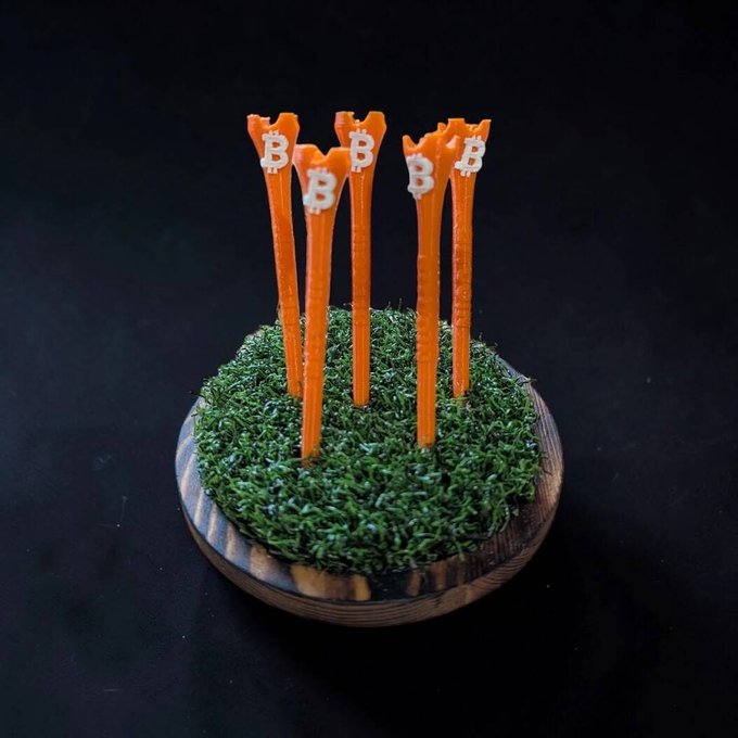 Orange snack sticks topped with a Bitcoin 'B' symbol sticking out of a bed of green moss.