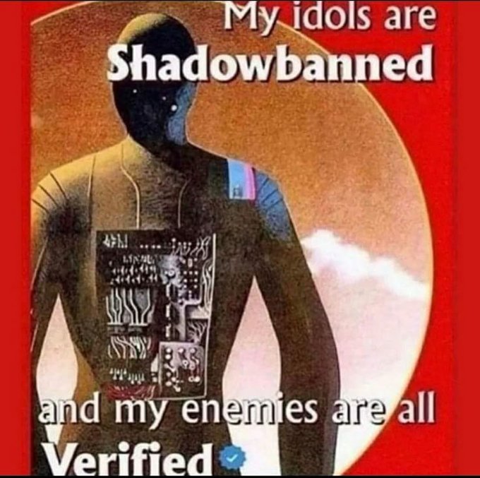 A meme featuring a figure resembling Shadow the Hedgehog with exposed circuitry against a red and moon background, captioned 'My idols are Shadowbanned and my enemies are all Verified'.