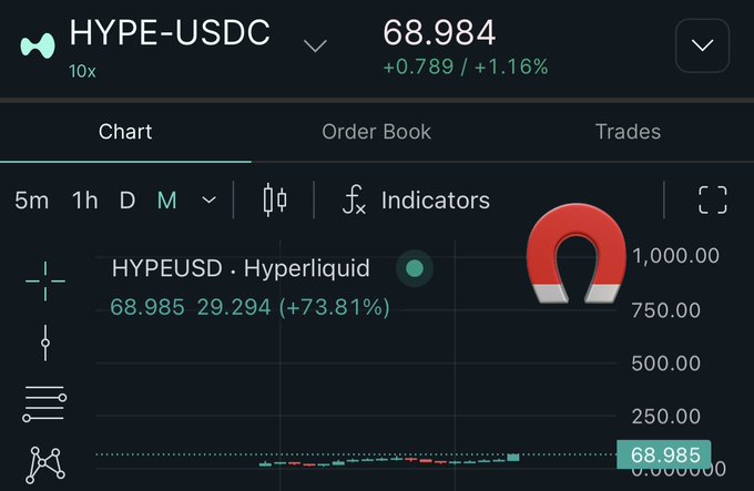 The image shows a visualization of trading data related to cryptocurrency. The chart displays several indicators, including OHLC bars and a red magnet symbolizing a buy order for HYPEUSDC. The caption provided connects these elements, suggesting that trading opportunities have been identified with the use of the Magnet symbol in this particular chart. This visual representation can help potential investors assess market trends and make informed decisions about their investments in cryptocurrency projects such as Hyper Liquid.