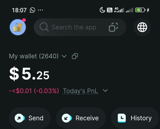 The image shows a crypto wallet app displaying a balance of $5.25 with a slight daily loss of -$0.01 (-0.03%), along with Send, Receive, and History buttons. The low balance humorously relates to the post's dilemma of whether to "buy $ANSEM or buy shawarma," as the wallet shows barely enough for a quick meal rather than a meme coin investment.