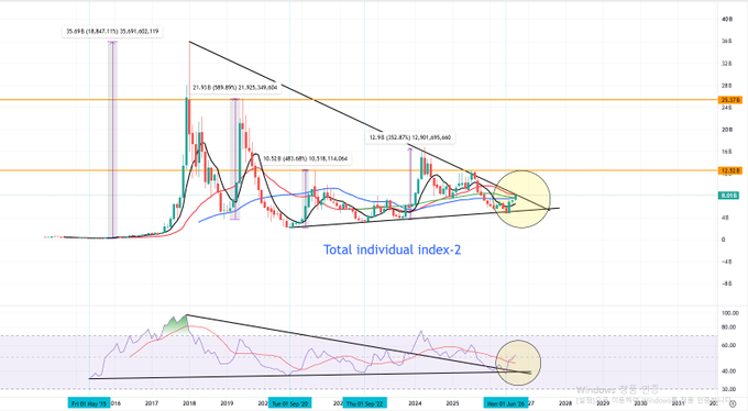 A technical financial chart titled 'Total individual index-2' showing candlestick patterns with multiple moving averages, resistance levels at 26.228 and 12.864, support at 8.023, and a descending trendline connecting highs from 2018 to projected 2027.