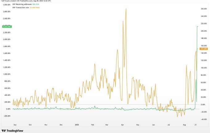 A TradingView chart displays $XRP transaction rate (orange line) reaching approximately 2,400% and receiving addresses (green line) hitting 95,884, with the activity surge visible in late August 2024 aligning with the post's claim about surging XRP Ledger activity.