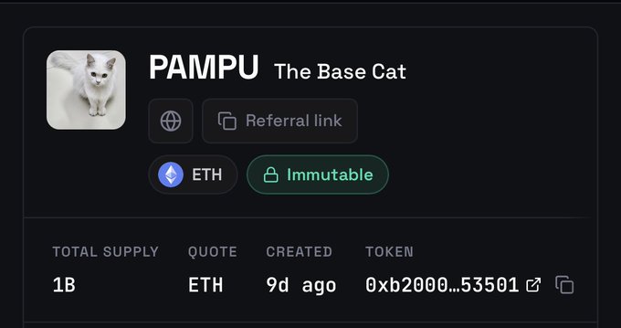 A trading panel displays the $PAMPU ("The Base Cat") token with a 1B total supply, priced in ETH, created 9 days ago on an immutable contract at address 0xb2000...53501—supporting the post's call to accumulate $PAMPU bags early as Base's B20 launch ramps up.