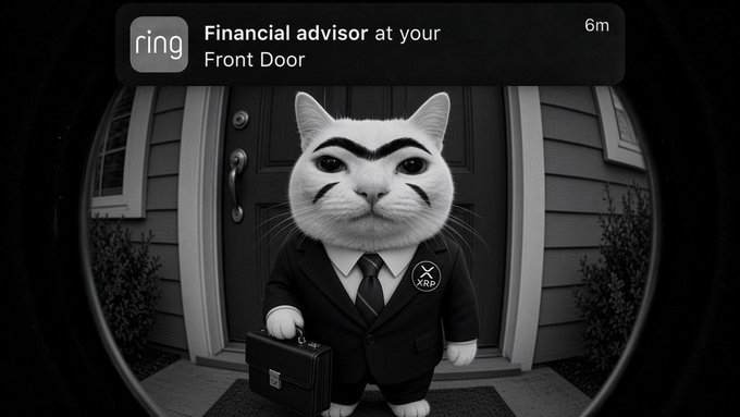 A Ring doorbell notification alerts about a 'Financial advisor at your Front Door,' showing a cat in a suit carrying a briefcase captured by the doorbell camera.