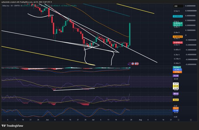 A TradingView daily candlestick chart of SHIB/USD showing a sharp bullish reversal spike toward $0.0000245, accompanied by MACD, RSI, and other oscillators turning upward—visually confirming the "pumping hard" rally described in the post.