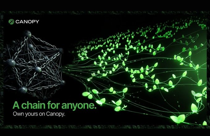 A promotional graphic for CANOPY blockchain with a network visualization of interconnected nodes and green leaves, featuring the tagline 'A chain for anyone. Own yours on Canopy.'