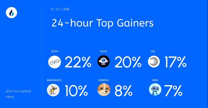 The image shows a blue screen with white text that displays information about 24-hour Top Gainers, including their gains for the past week. The text also includes some cute animal illustrations of dogs and cats. The image seems to be related to a social media platform or website where users can view and interact with the top gainers' statistics.