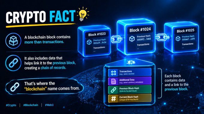 An infographic titled "CRYPTO FACT" explains that a blockchain block contains more than transactions, showing blocks #1023, #1024, and #1025 linked together, with hashtags #Crypto, #Blockchain, and #Web3.