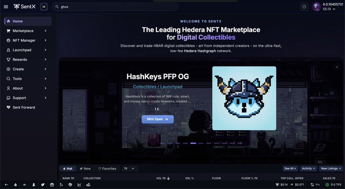 A screenshot of the SentX NFT marketplace homepage displays 'WELCOME TO SENTX: The Leading Hedera NFT Marketplace for Digital Collectives' with a featured 'HashKeys PFP OG' collectible showing a pixelated blue and gold dog character.