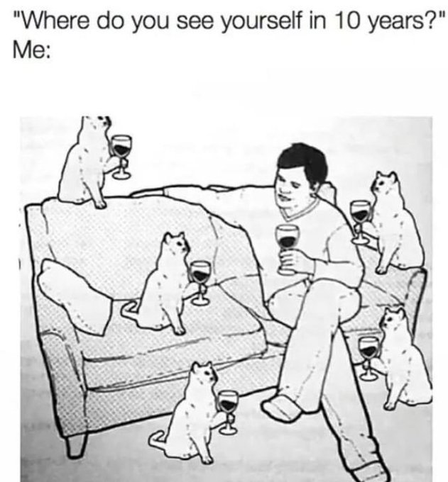 A meme showing a black and white illustration of a man sitting on a couch with multiple cats, each holding wine glasses, with the caption 'Where do you see yourself in 10 years?' Me: